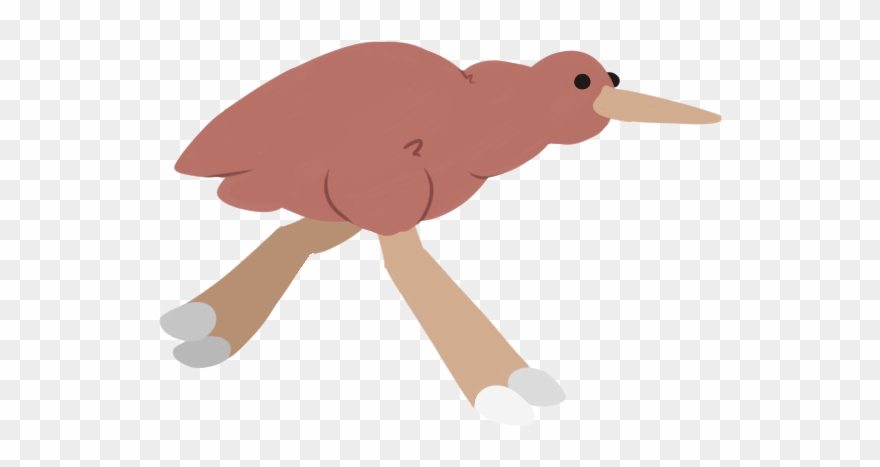 For The Kiwi Bird, We Wanted It To Have A Bounce And Clipart