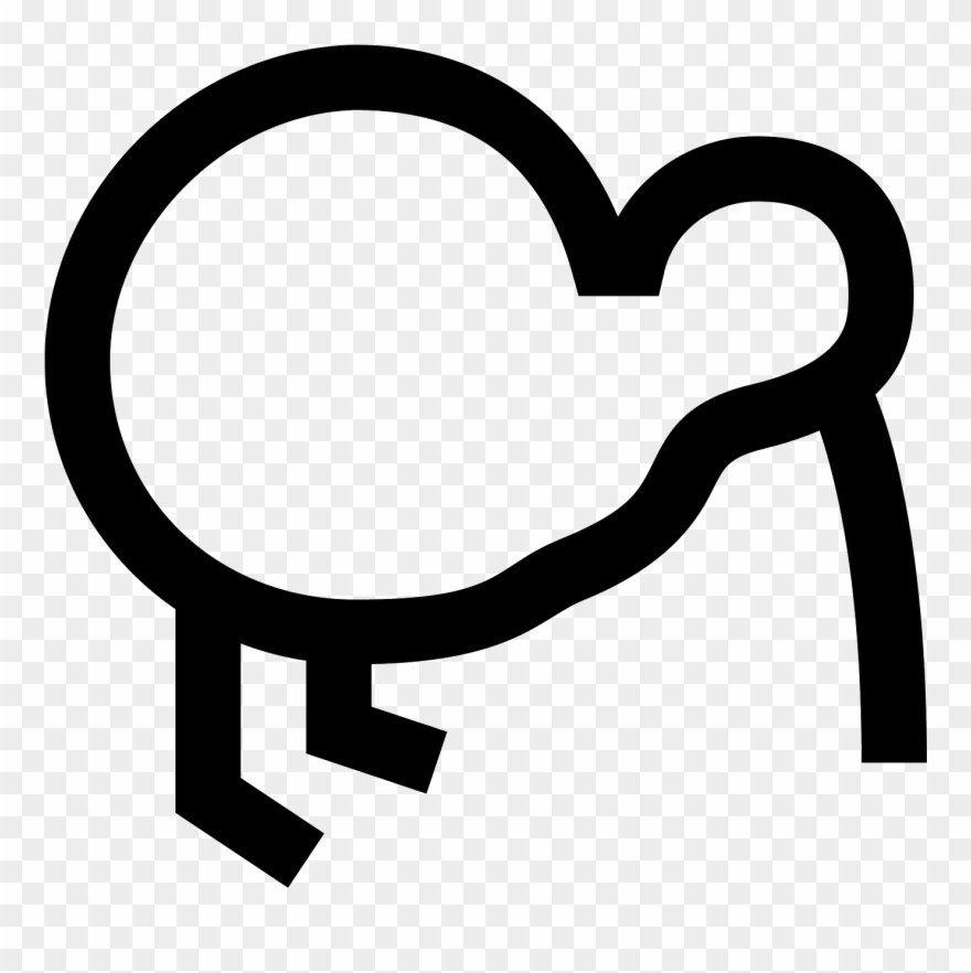 Kiwi Bird Icon Clipart