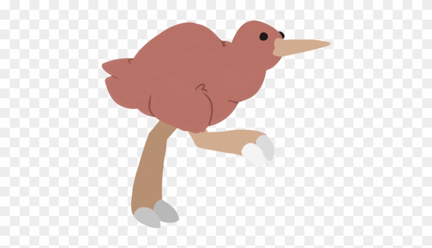 For The Kiwi Bird, We Wanted It To Have A Bounce And Clipart