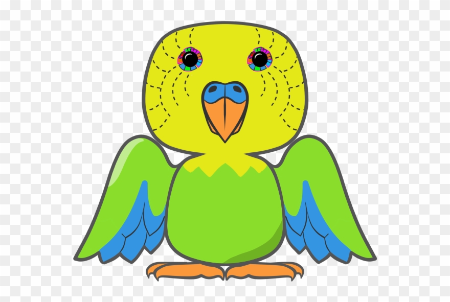 Kiwi Clipart