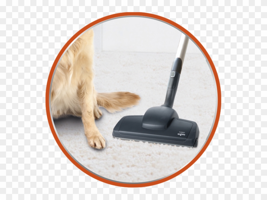 Ideal For Pet Owners Clipart