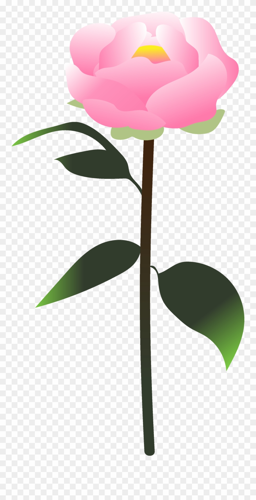 You Created A Peony Clipart