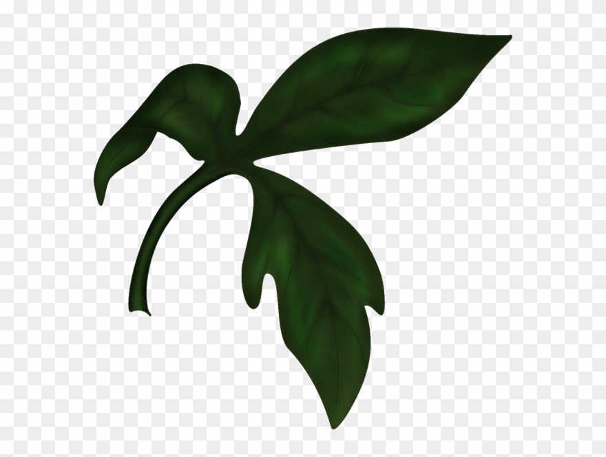 Written By Dreamland In Painted Peonies On 30 November Clipart