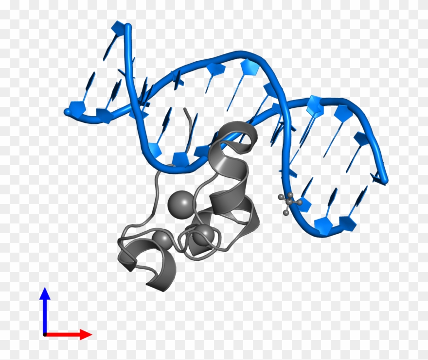 <div Class='caption-body'>pdb Entry 5w9s Contains 2 Clipart