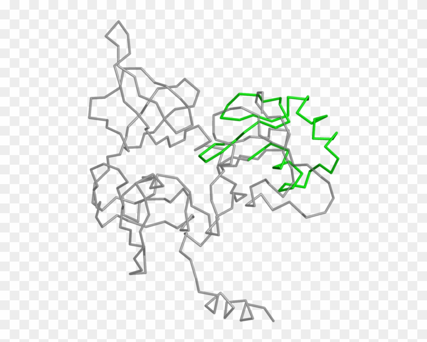 <div Class='caption-body'>2 Copies Of Pfam Domain Clipart