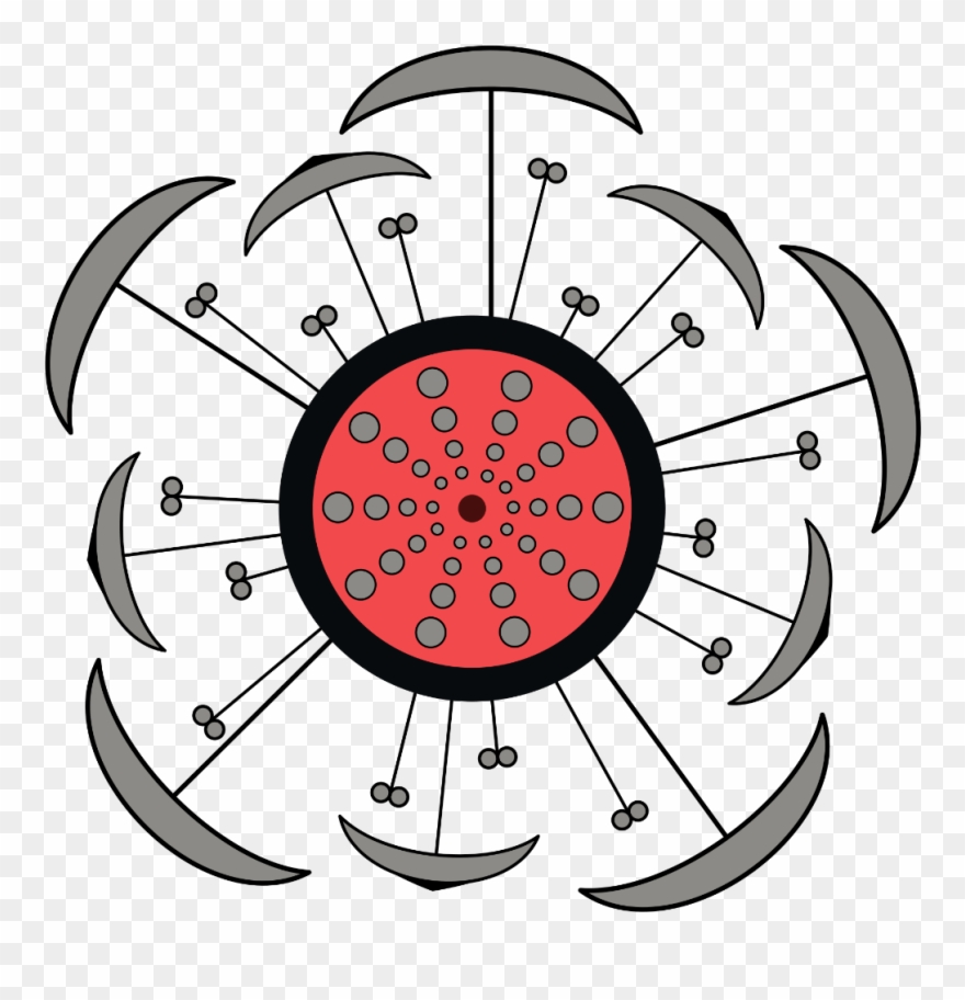 Floral Diagram Of Hibiscus Clipart