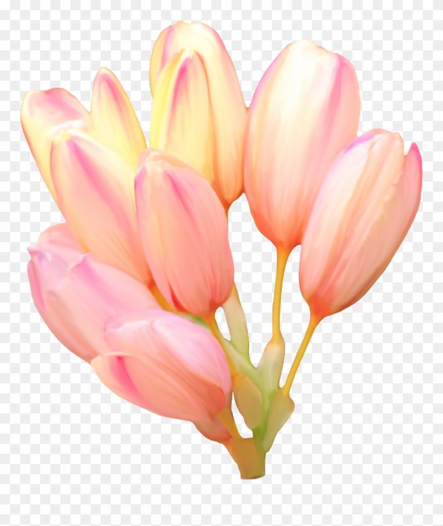 Sunday Monday Tuesday Wednesday Thursday Friday Saturday Clipart