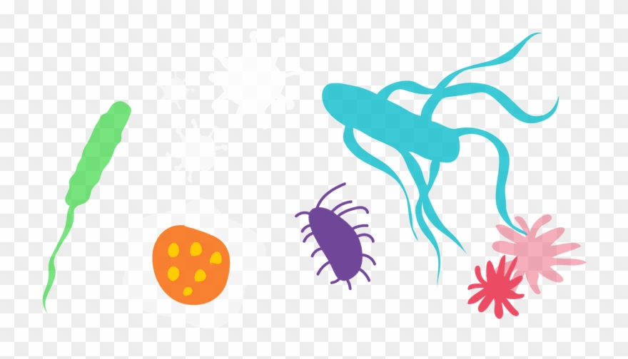 Png Library Stock Disease Clipart Infectious Transparent Png