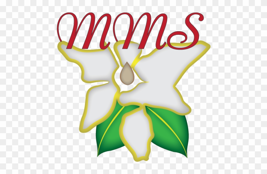 Logo Design By Chubby Bunny Graphic Design For Magnolia Clipart