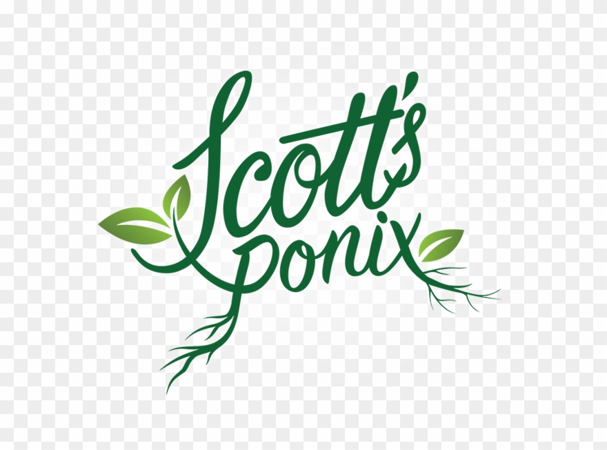 Growing Inside - Responsive Web Design Clipart