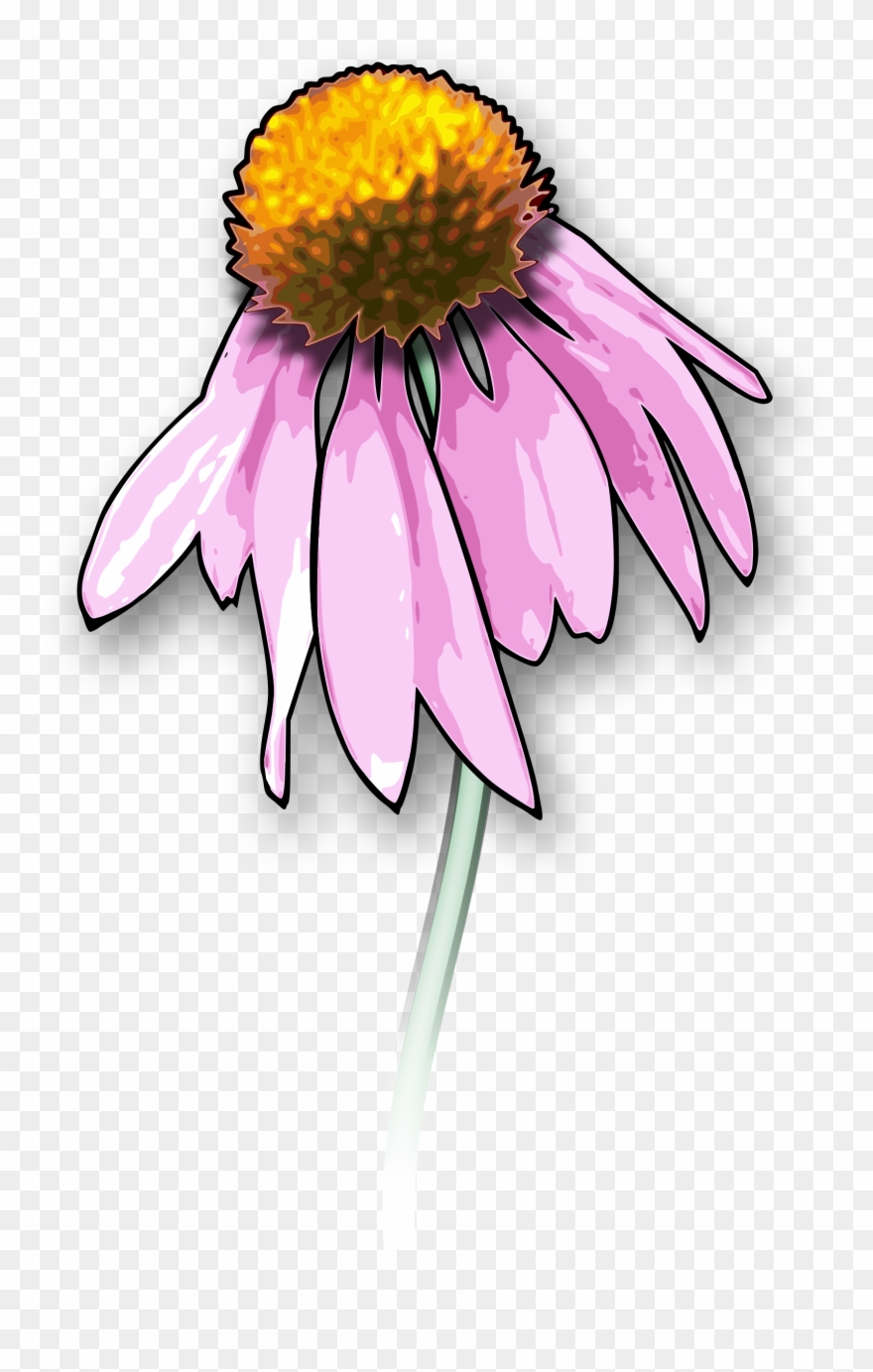 Free Flower2 - Dead Flower Drawing Clipart