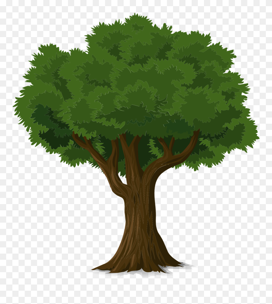 A Dying Tree Png - Koh Fit Stress Ball With Hand Exercise Ebook + Natural Clipart