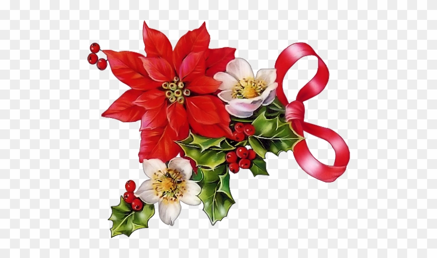 Glansbilleder - Plaatjes - Christrosen - Christmas - Vintage Poinsettia Clip Art - Png Download