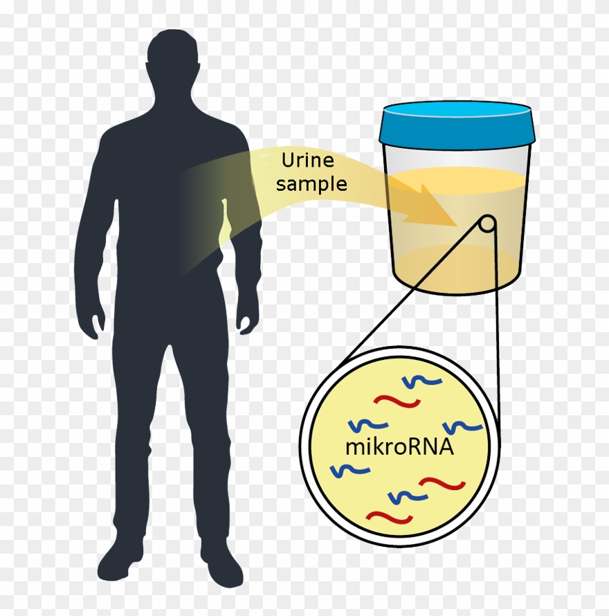 The Project Is Supported Financially By Innovation - Doorbell Panel 1-button 1810120 - Special Offer Clipart