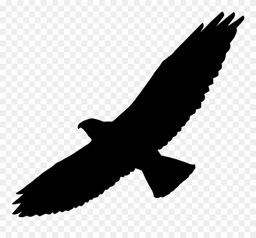 Clip Art Details - Hawk Silhouette - Png Download
