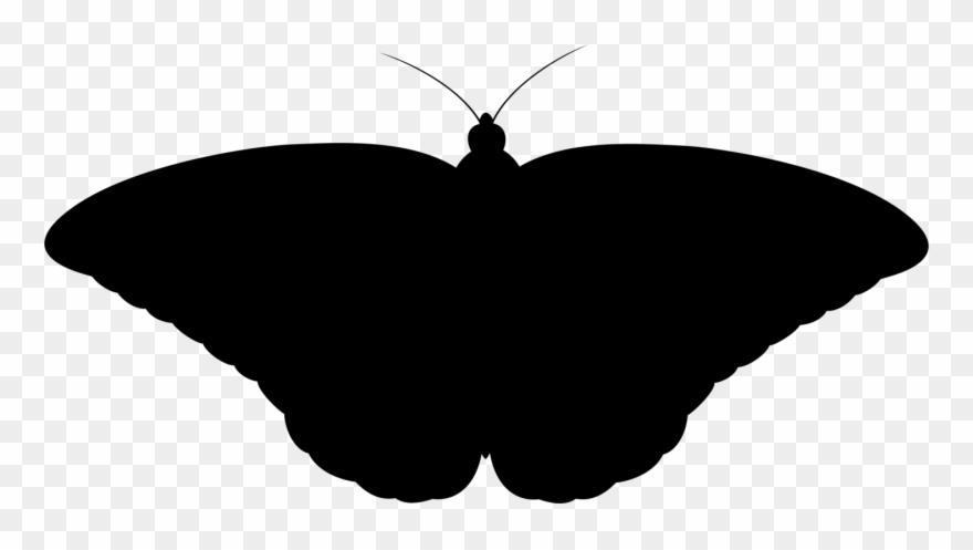 Clip Art Details - Black Moth Png Transparent Png