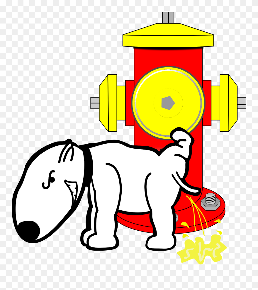 Medium Image Clipart
