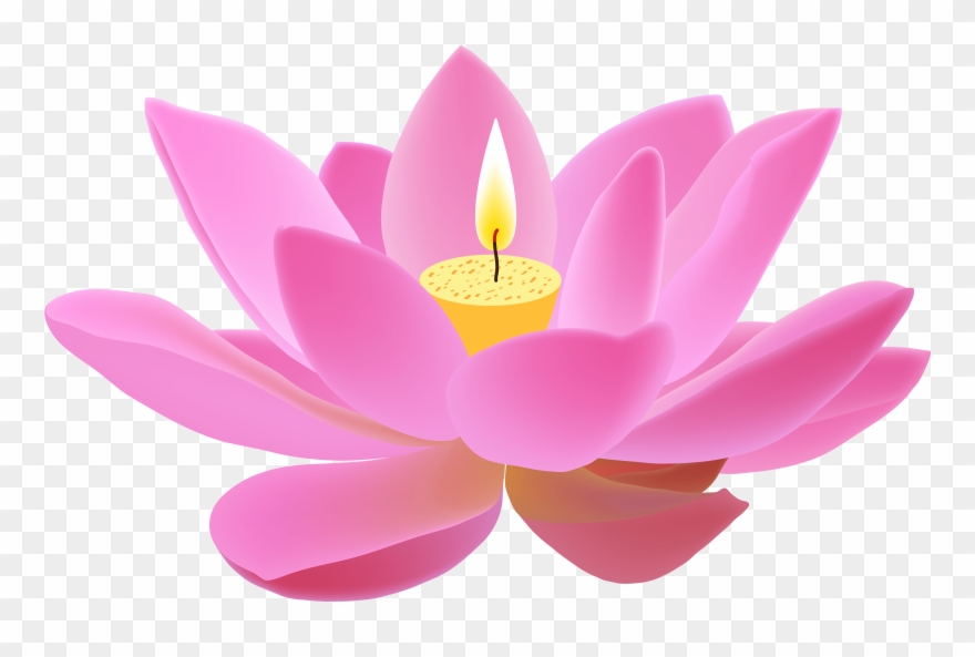 Lotus Png Clipart