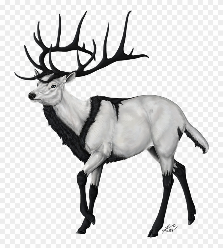 E V E N I D E - Reindeer Drawing Clipart