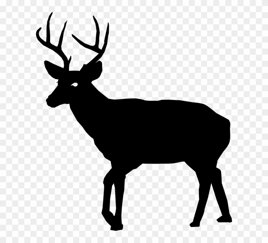 White-tailed Deer Art - Deer Silhouette Free Clipart