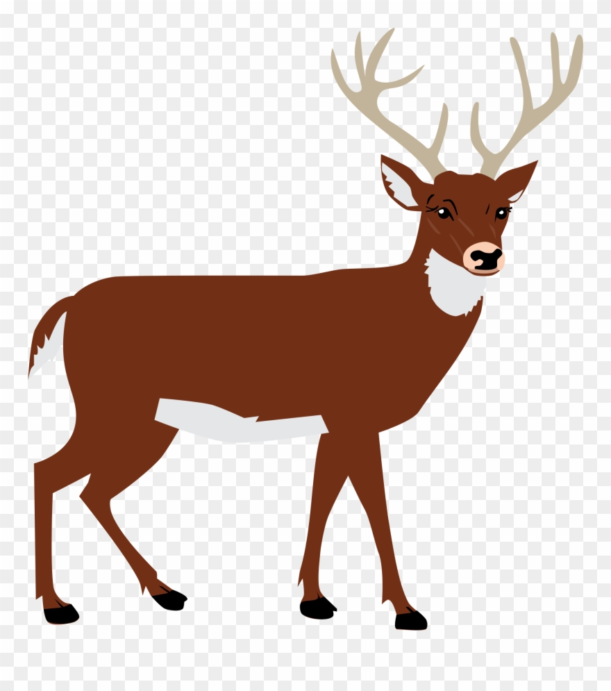 More From My Site - Clip Art Of Deer - Png Download