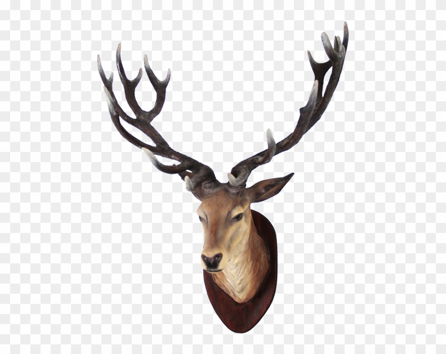 Clipart Png Deer Best - Deer Head Png Transparent Png