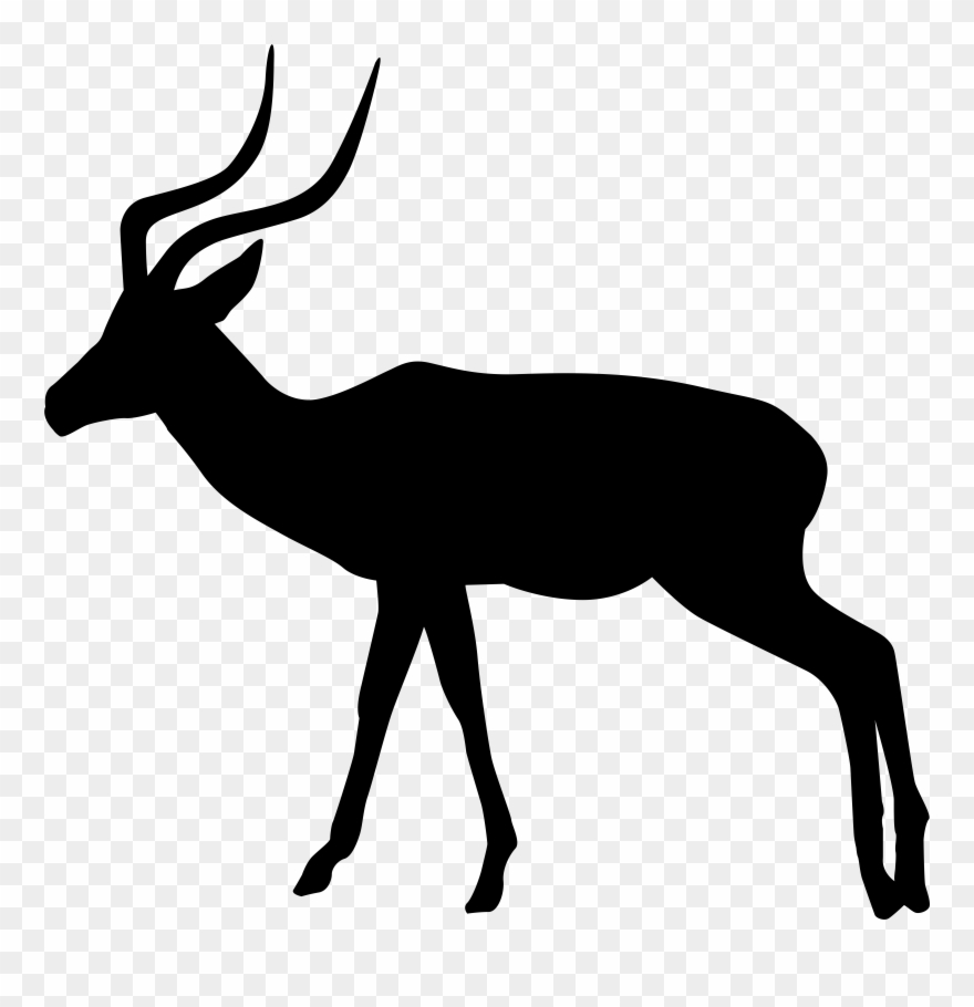 White Tailed Deer Clipart Rusa - Png Download