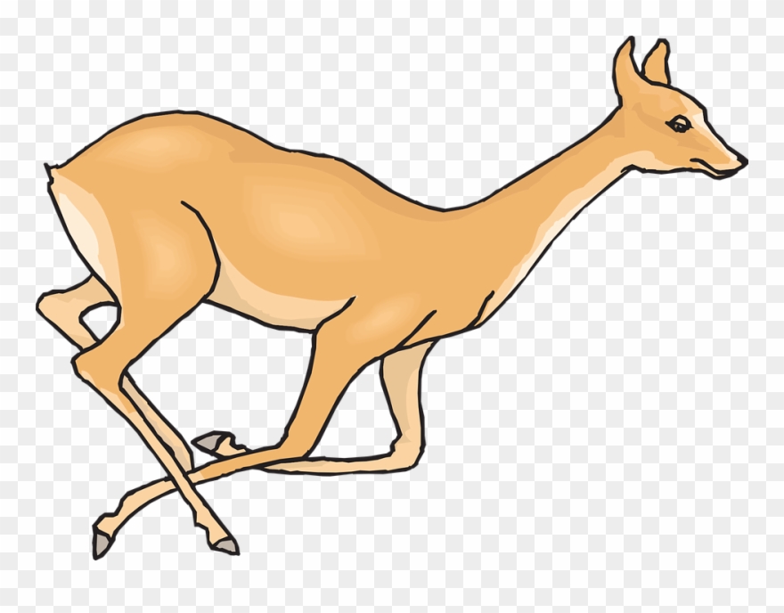 Dear Clipart Hd Animal - Deer Running Clipart - Png Download