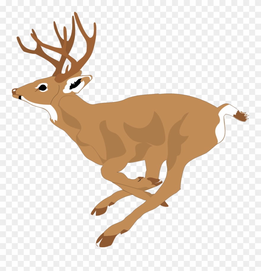 Deer Clipart Free At - Deer Antlers Side View - Png Download