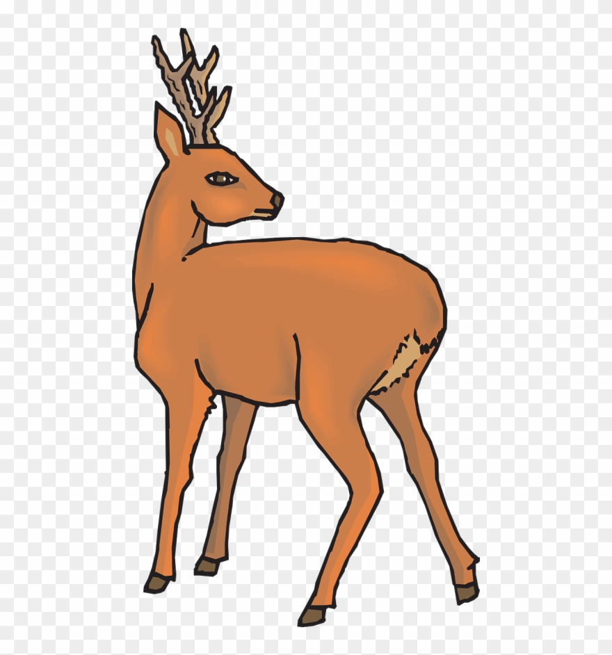Free Deer Silhouette Clip Art - Png Download