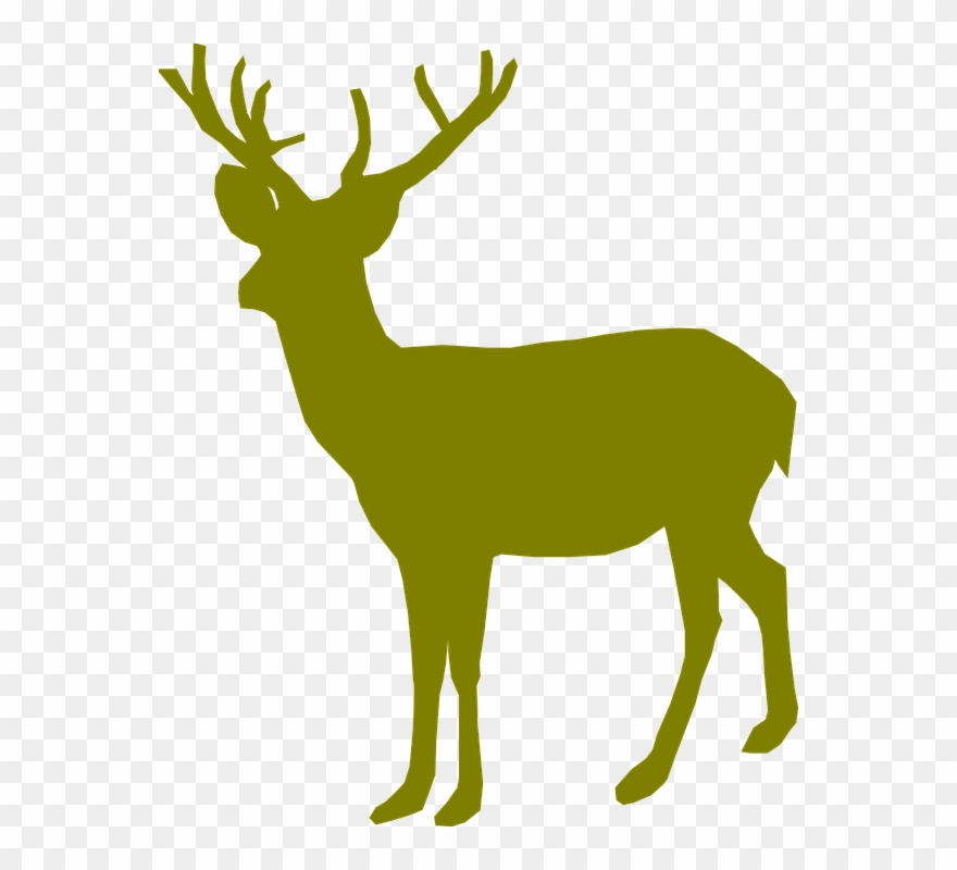 Download Banner Transparent Library Image Berry New Deer Green