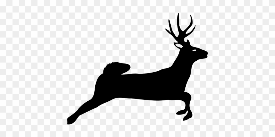 Outline Free Atlantic Salmon Free Deer Jumping - Jumping Deer Silhouette Clipart
