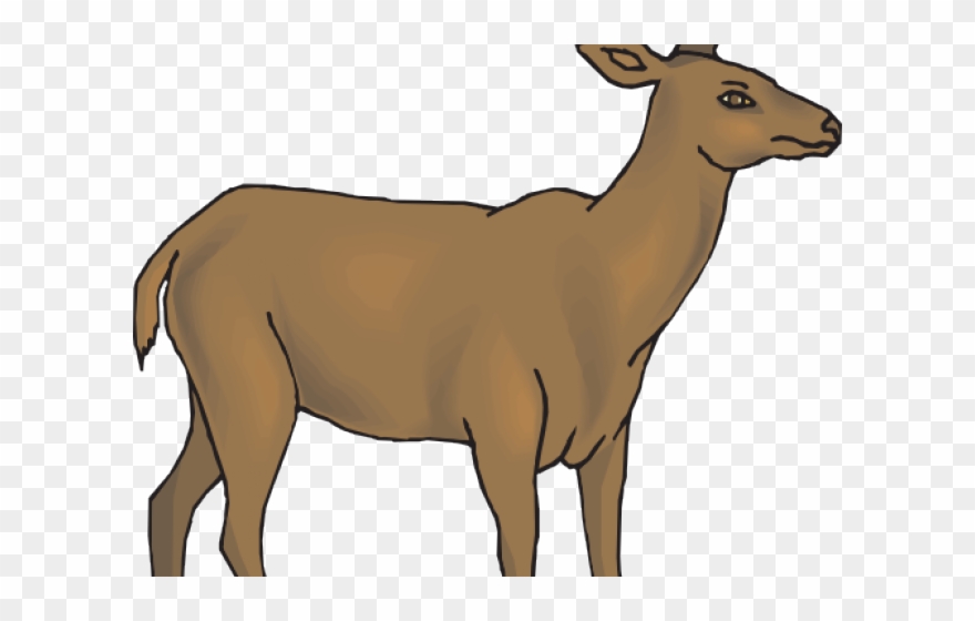 White Tailed Deer Clipart Whitetail Deer - Brown Deer Clipart - Png Download