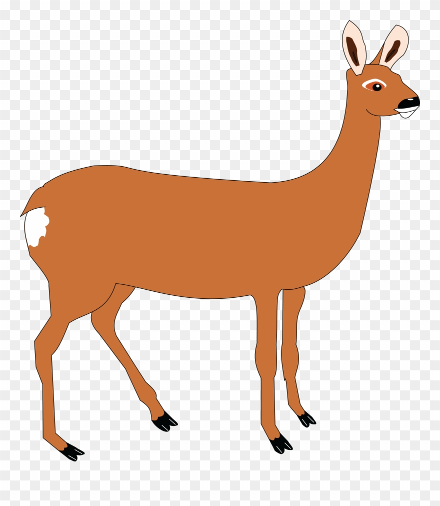 Free Clipart Of A Doe Deer - Png Download