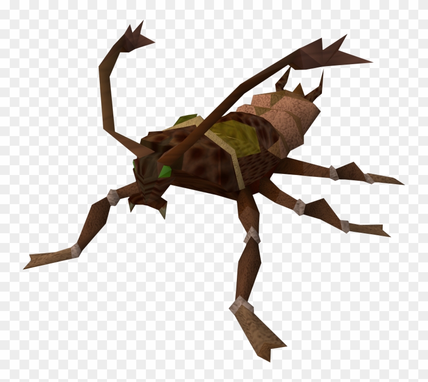 The Runescape Wiki - Runescape Cockroach Clipart