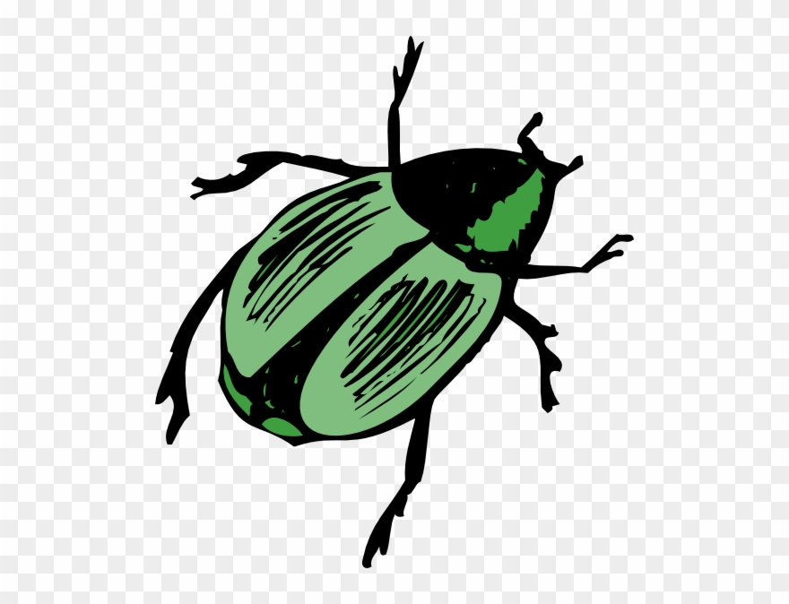 Shiny Green Beetle Clip Art - Beetle Clipart - Png Download