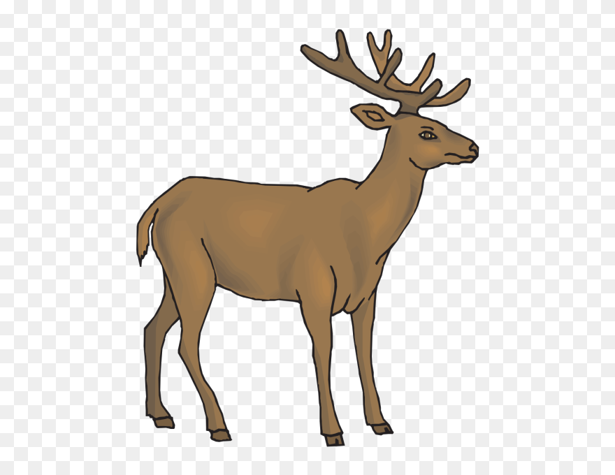 White Tailed Deer Clipart Rusa - กวาง Png Transparent Png