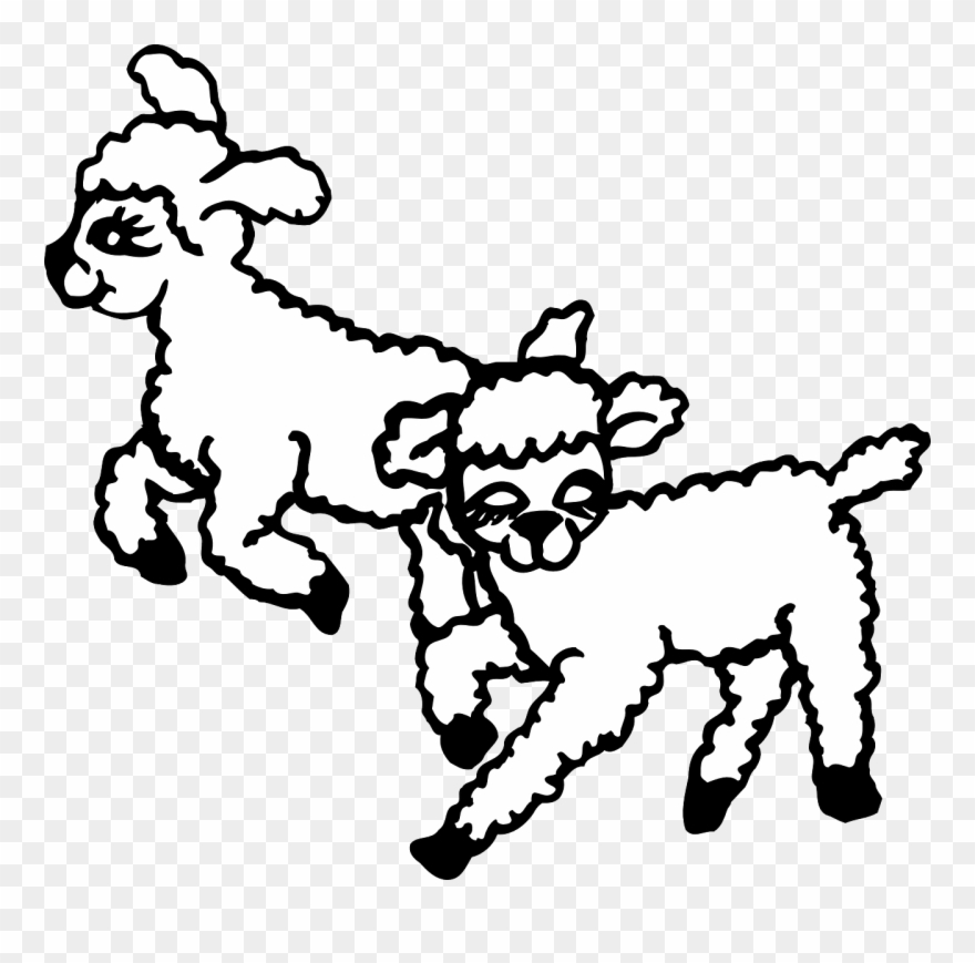 Lambs Playing Clipart - Png Download
