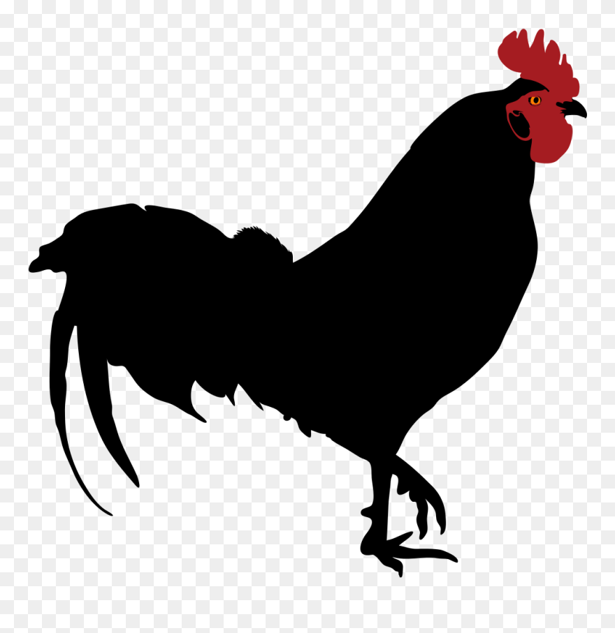 Images For > Rooster Silhouette Clip Art - Rooster Silhouette Png Transparent Png