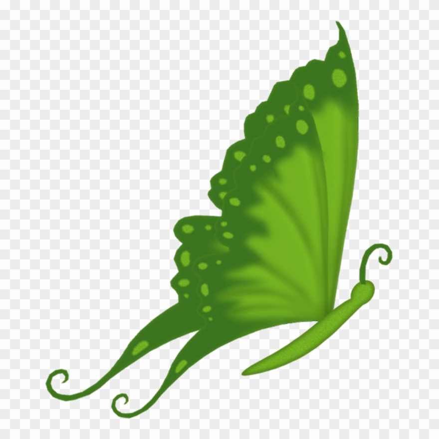 ‿✿⁀°butterflies°‿✿⁀ - Butterfly Clipart
