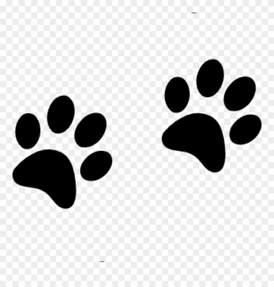 Dog Paw Clip Art American Kennel Club Canine Health - Equestria Girls Rarity Lingerie Naked - Png Download