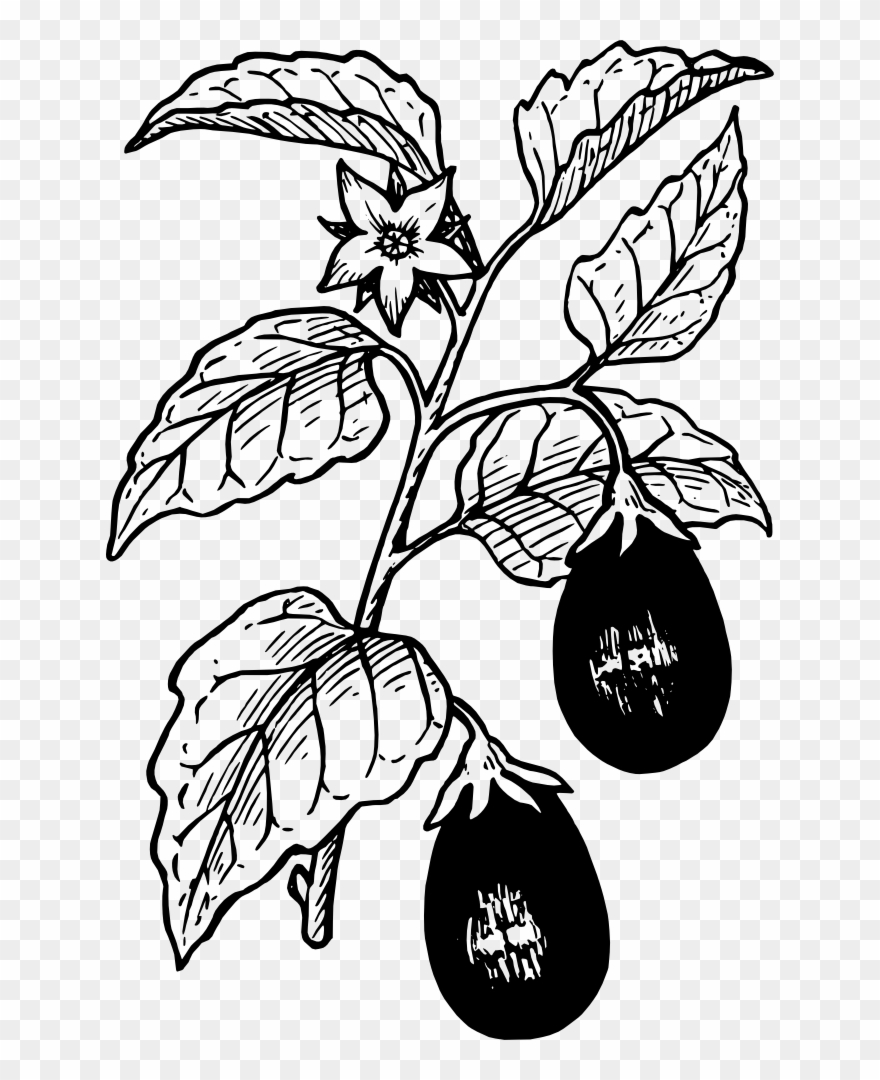 Onlinelabels Clip Art - Eggplant Clip Art - Png Download