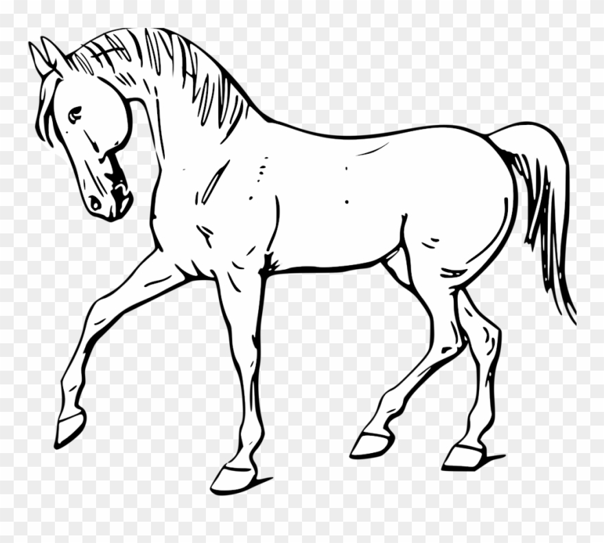 Farm Clipart Black And White - Horse Clipart Black And White Png Transparent Png