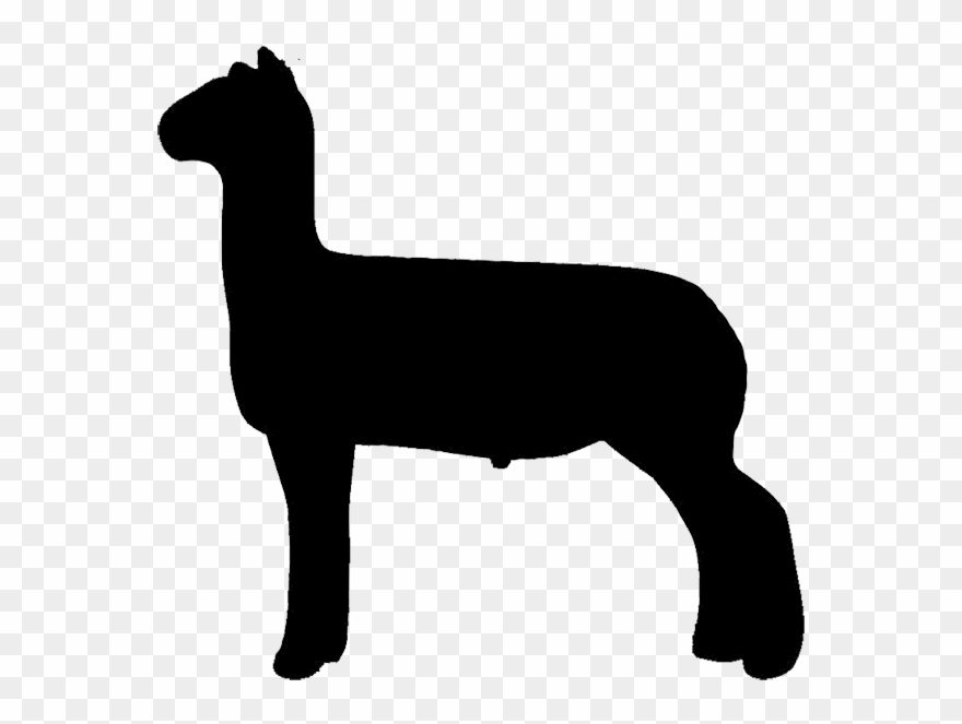 Free Show Lamb Clip Art Sheep Graphics Clublamb Images - Market Show Lamb Silhouette - Png Download