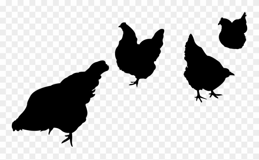 Chicken Silhouette Png Images Pictures Becuo 1057 Clip Transparent Png