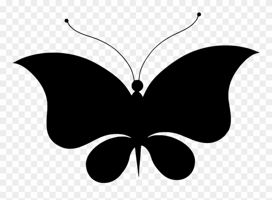Free Photo Butterfly Silhouette Wings Animal Flourish - Desenhos De Borboletas Pretas Clipart