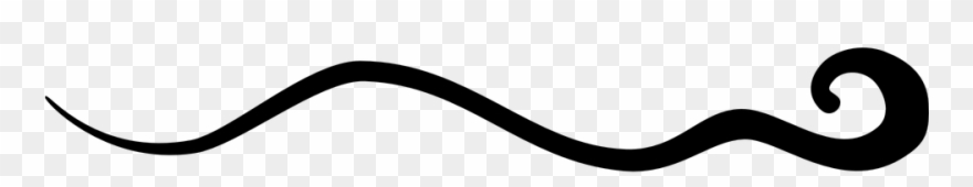 Flourish Clipart Squiggly - Vector Graphics - Png Download