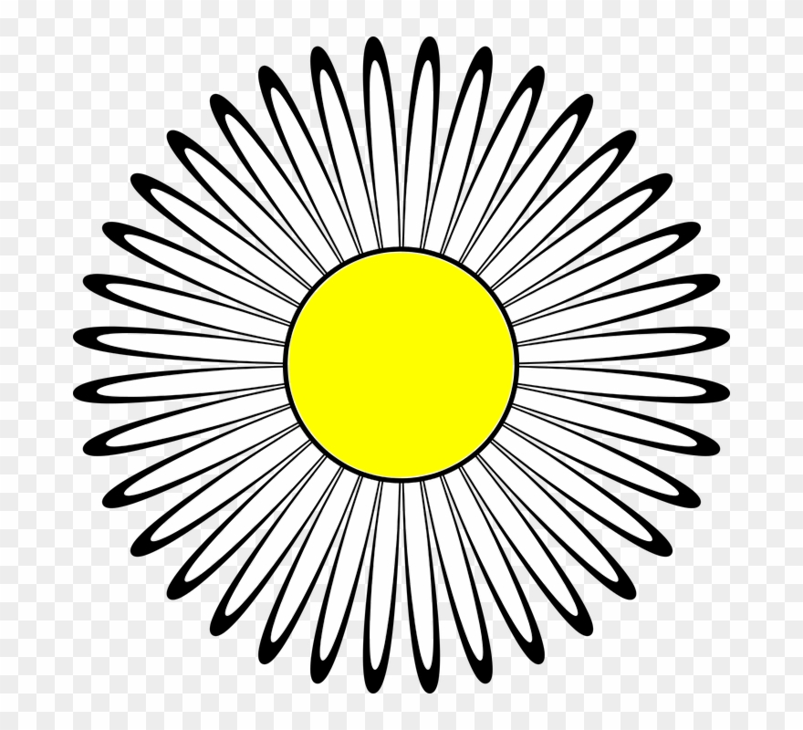 Daisy Clipart Nature Transparent - Habits Of Mind - Png Download