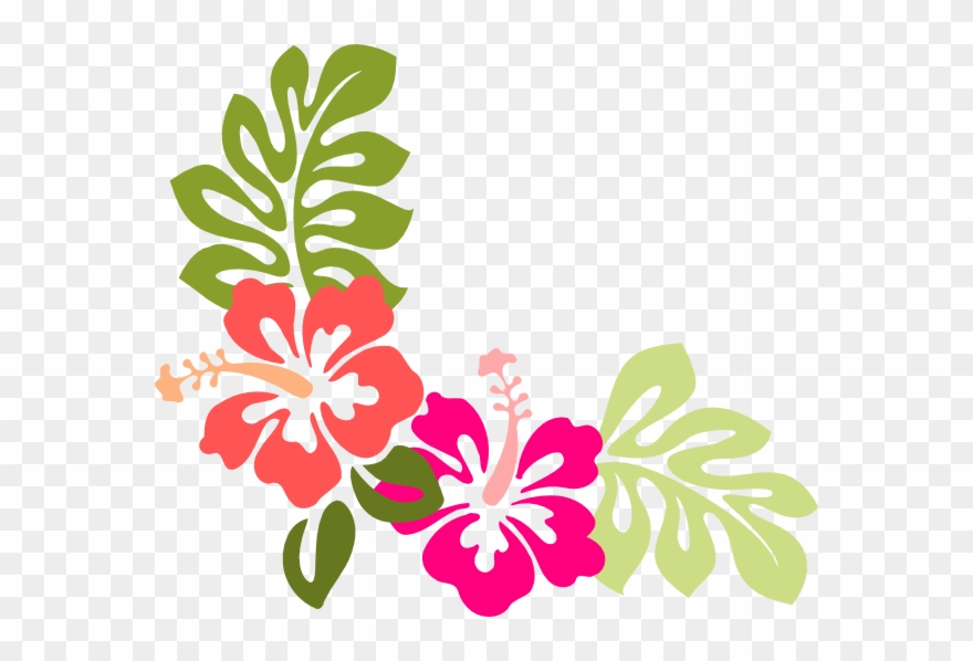 Hibiscus Clip Art - Hibiscus Image Free Vector - Png Download