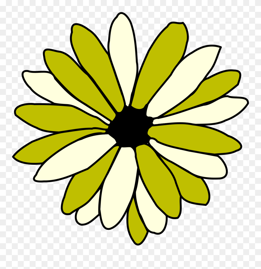This Free Clip Arts Design Of Green And Ivory Daisy - Png Download